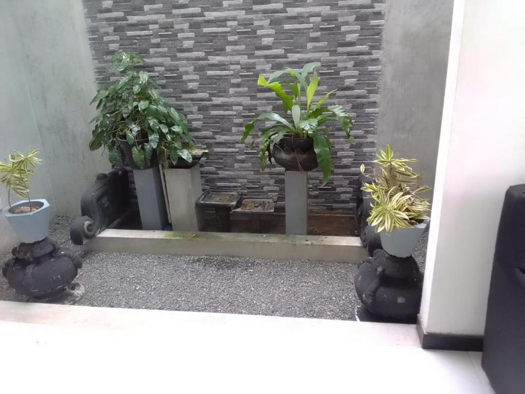 Homestay Vidushi Minuwangoda