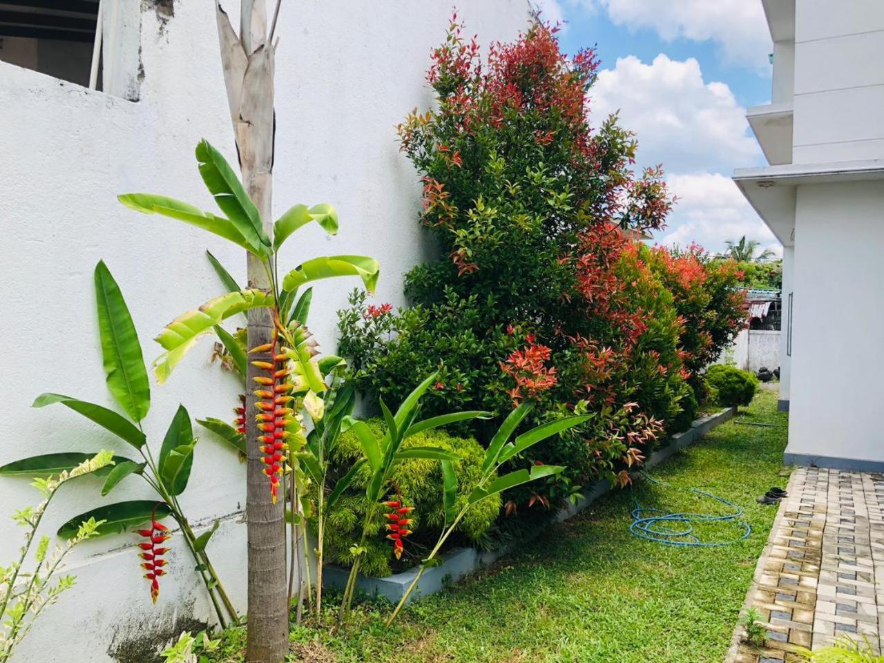 Vidushi Homestay *