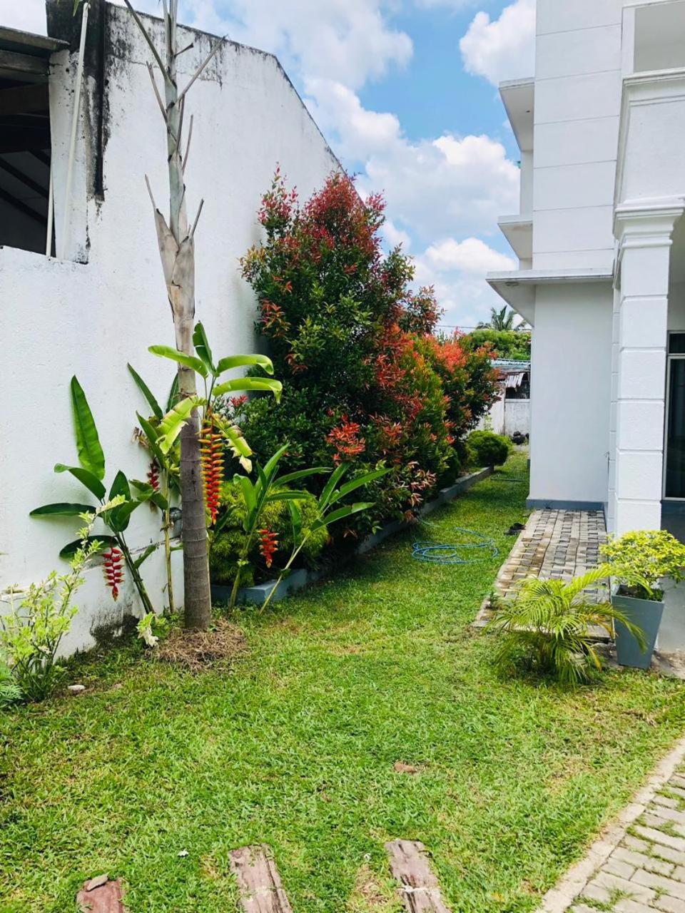 Vidushi Homestay *